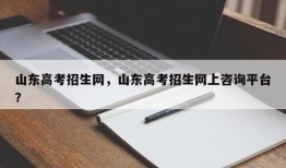 山东高考招生网，山东高考招生网上咨询平台？