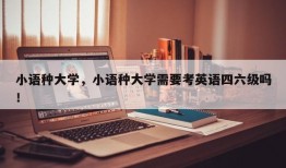 小语种大学，小语种大学需要考英语四六级吗！