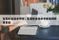 东莞职业技术学校，东莞职业技术学院官网教务系统